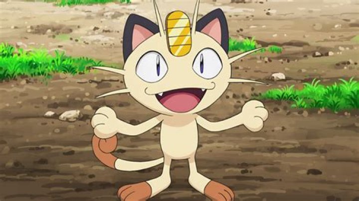 Is meowth a cat?