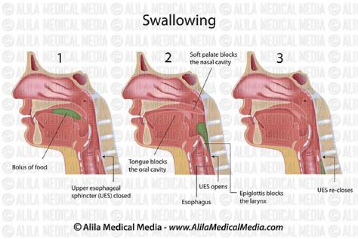 Is swallowing pus harmful?