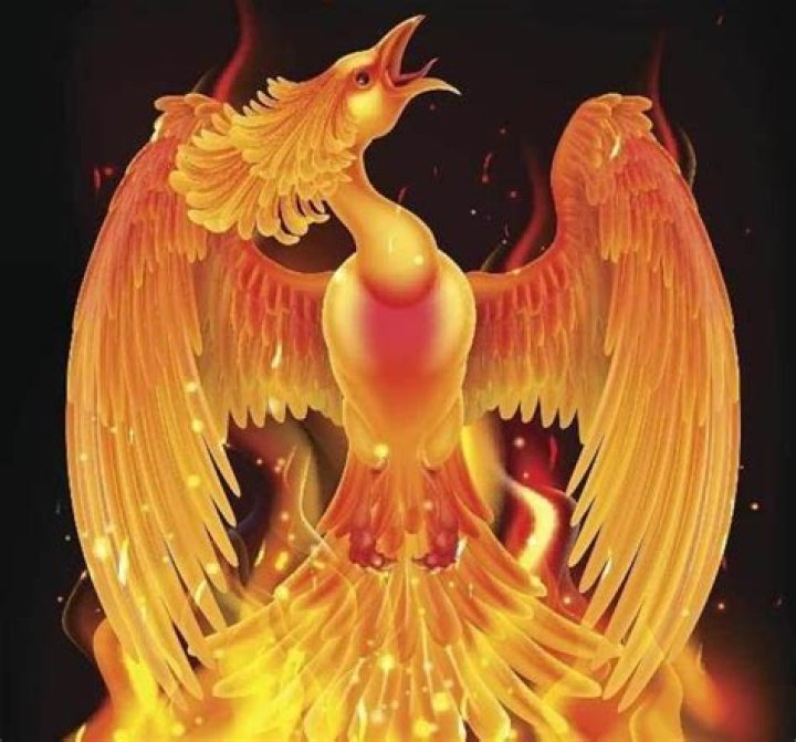 Is there a phoenix in Chinese mythology?