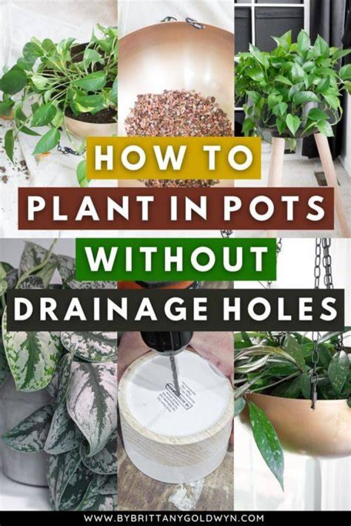 Should all pots have drainage holes?