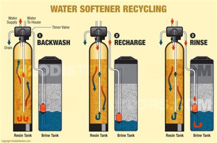 Should cuttings in water be in sun?