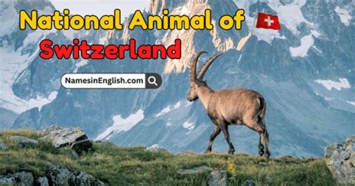 What's USA national animal?