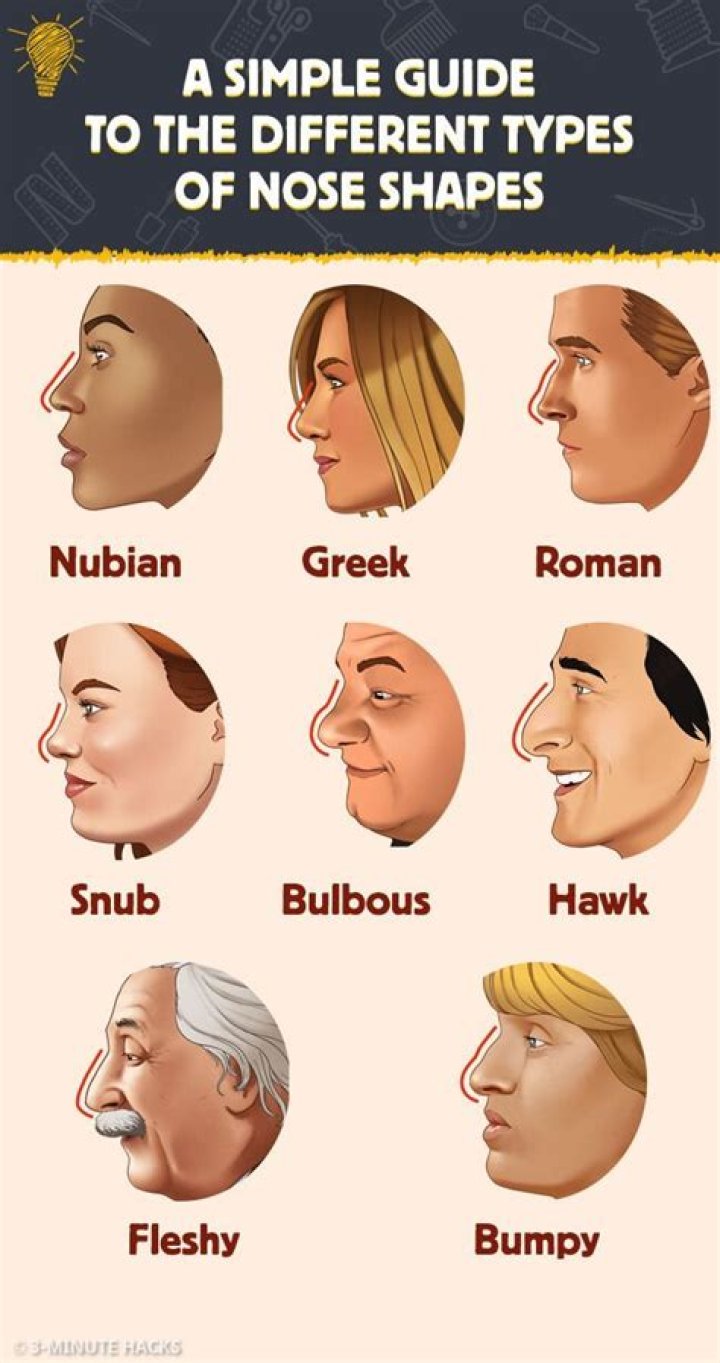 What affects nose shape?