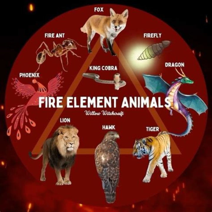 What animal breathes fire?