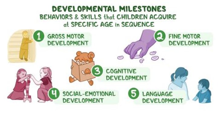 What are 5 developmental characteristics of toddlers?