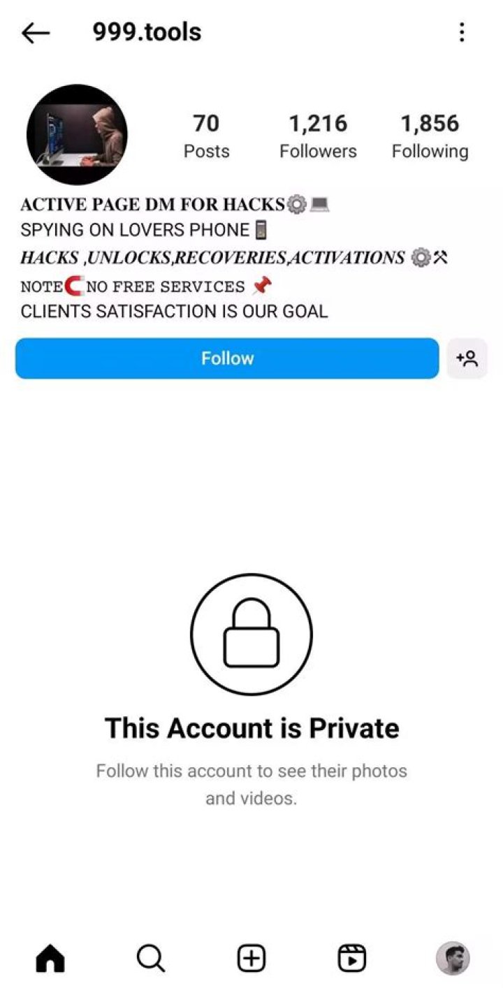 What are fake Instagram accounts called?