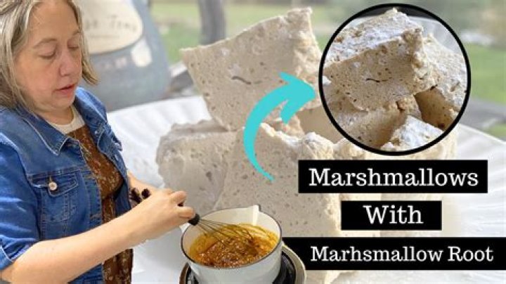 What are marshmallows made of horse hooves?