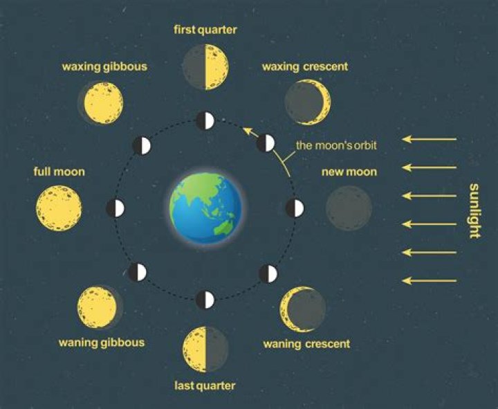 What are moon babies?