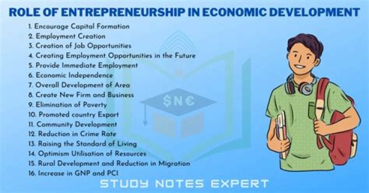 What are the roles of entrepreneur in economic development?