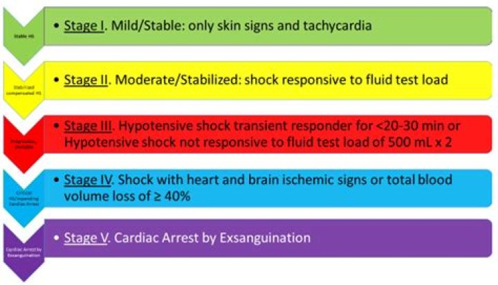 What are the stages of blood loss?