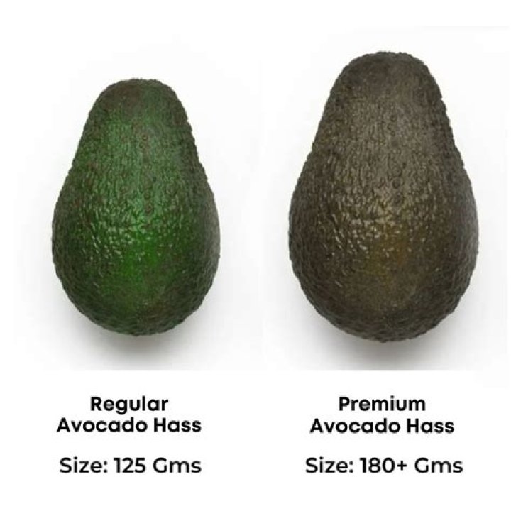 What are two advantages of the Hass avocado?