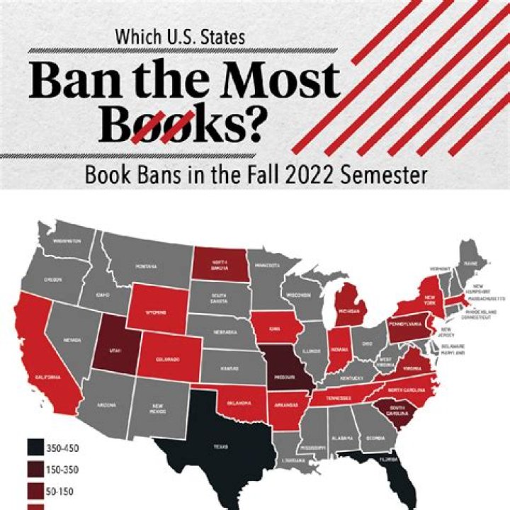 What bats are banned in college?