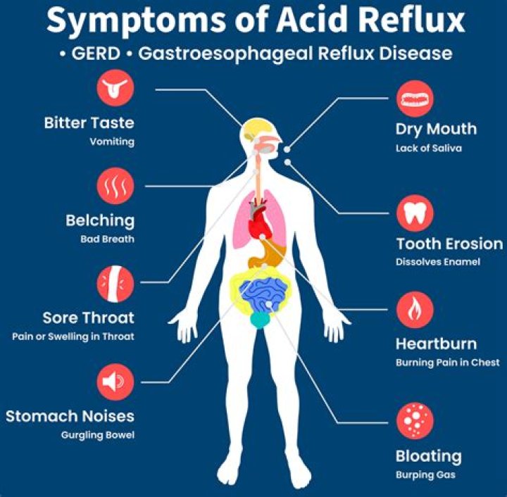 What can I give my dog for acid reflux at home?