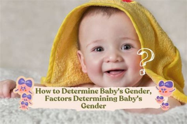 What determines your baby's looks?