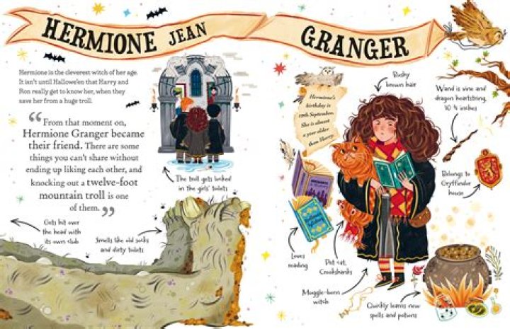 What did Hermione shrink before the Yule Ball?