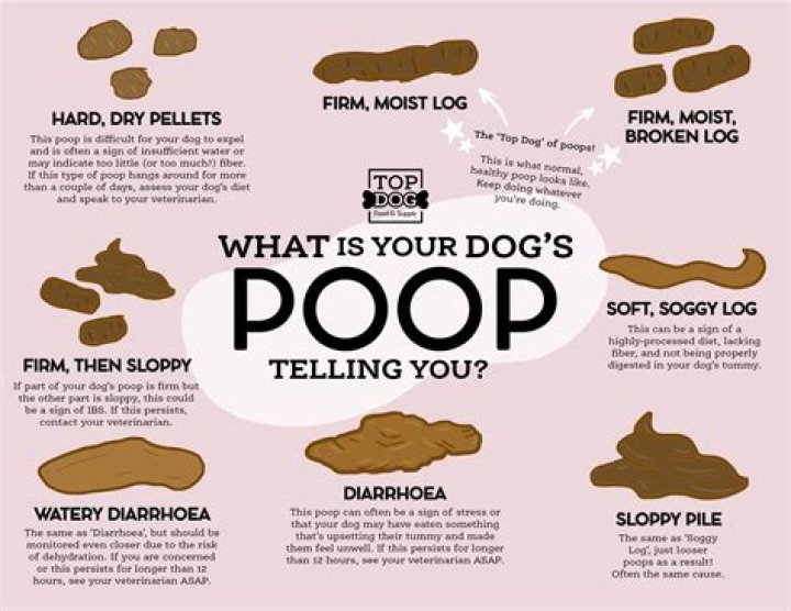 What did they call poop in the 1800's?