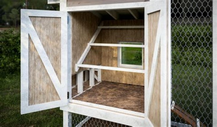 What direction should my chicken coop face?