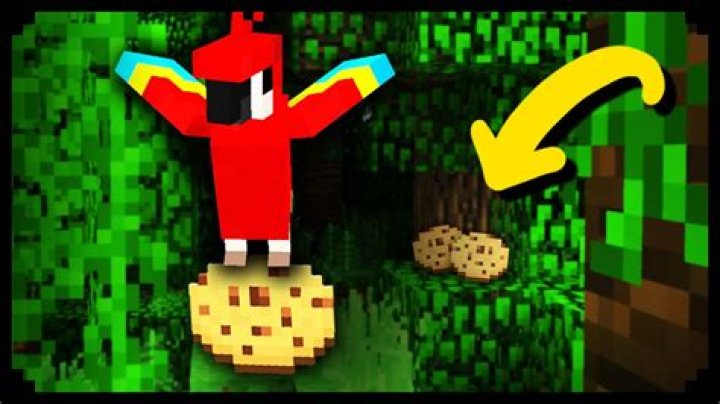 What do parrots eat in Minecraft?