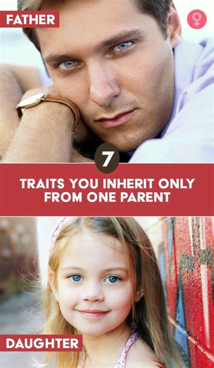 What do you inherit from your father?