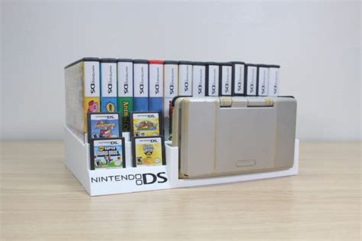 What does DS stand for Nintendo?