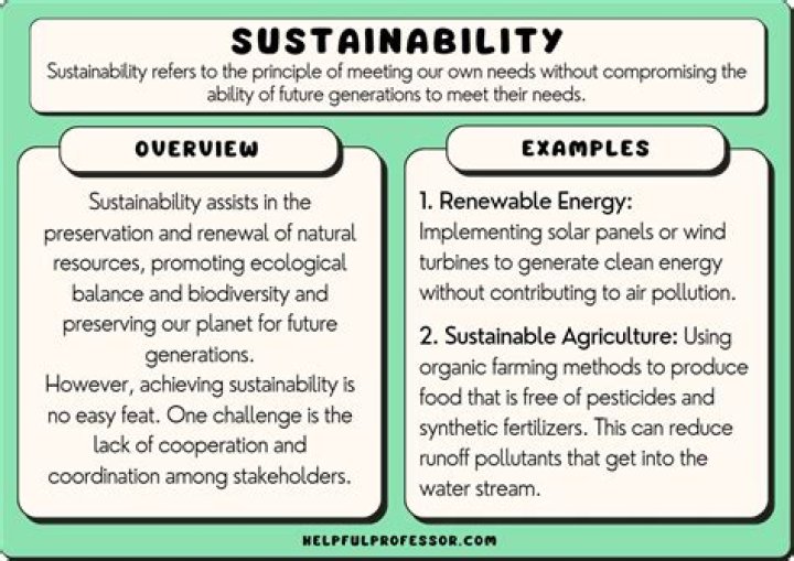 What does sustainability mean to you essay?