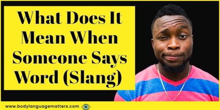 What does yawp mean in slang?
