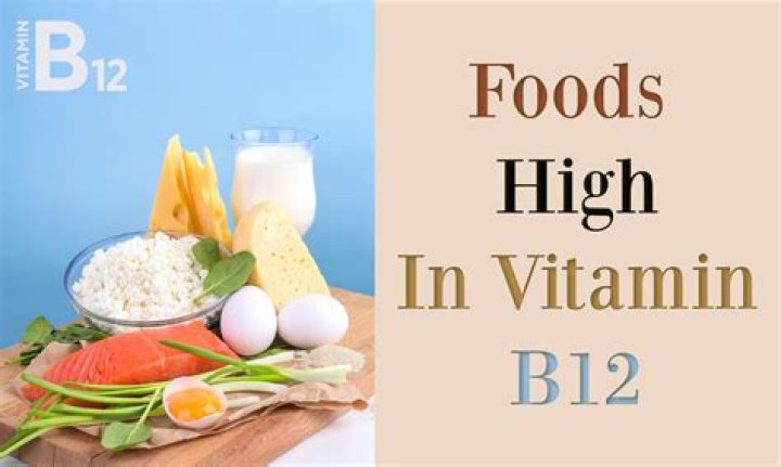 What food has the highest B12 content?