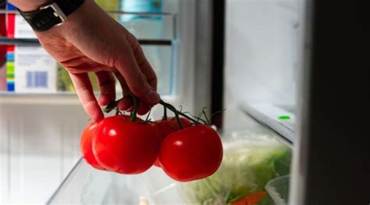 What happens when you refrigerate tomatoes?