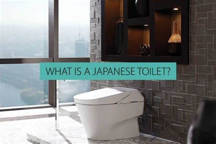 What is a Japanese toilet like?