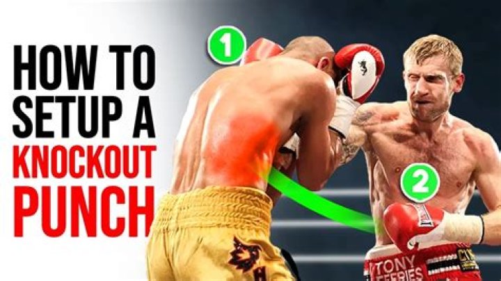 What is a one punch knockout?