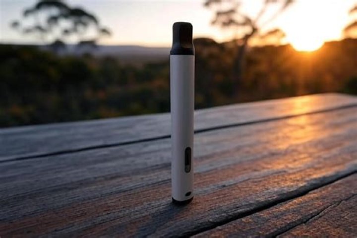 What is a rip vape?