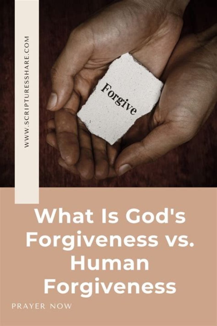 What is freshman forgiveness?