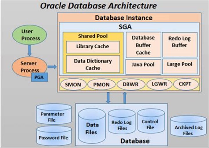 What is Oracle Database synonym?