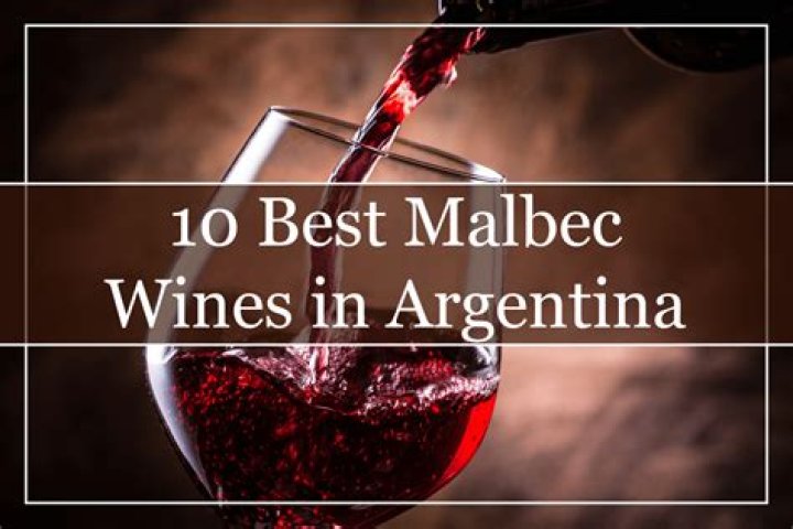 What is the difference between Malbec and red wine?