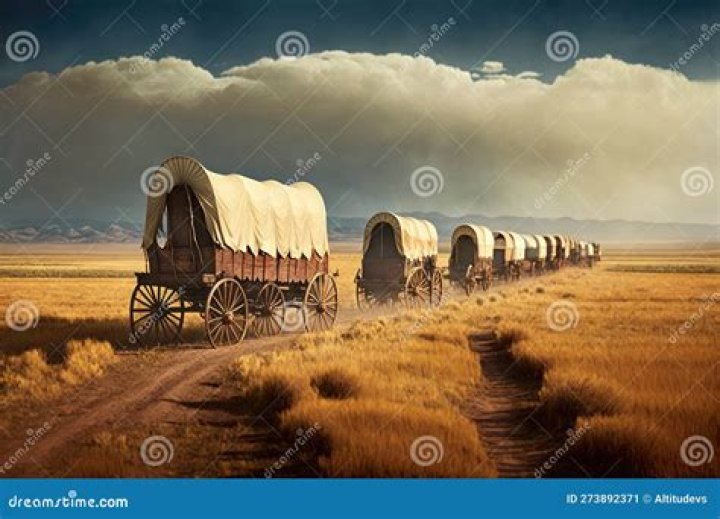 What is the leader of a wagon train called?