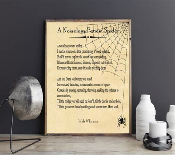 What is the message of A Noiseless Patient Spider?