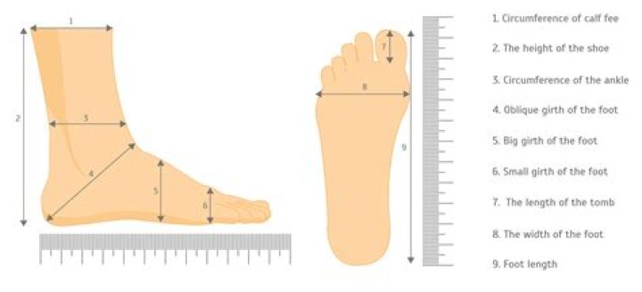 What is the most attractive foot size for a woman?