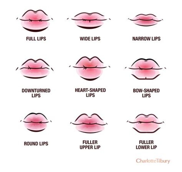 What is the most beautiful lip shape?