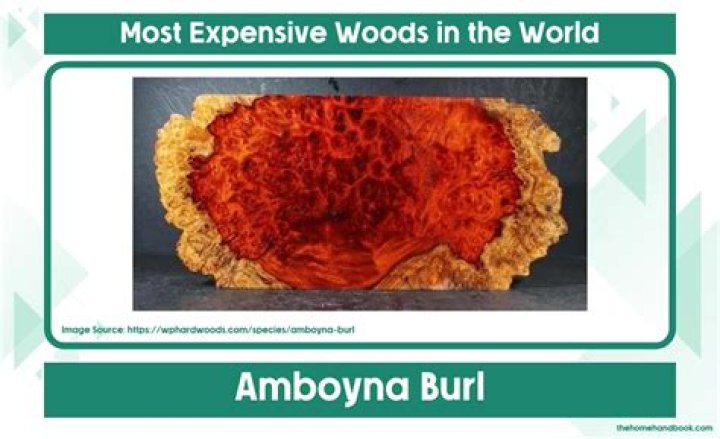What is the rarest wood in the world?
