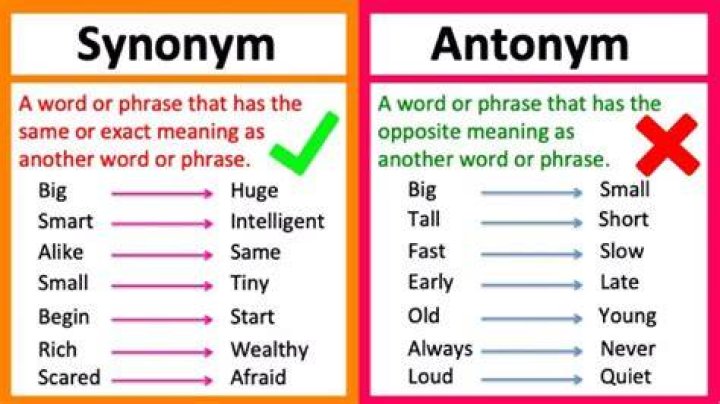 What is the synonym of issue?