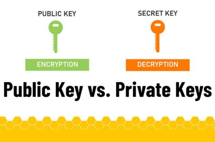 What is the use of private key and public key in SAML SSO?