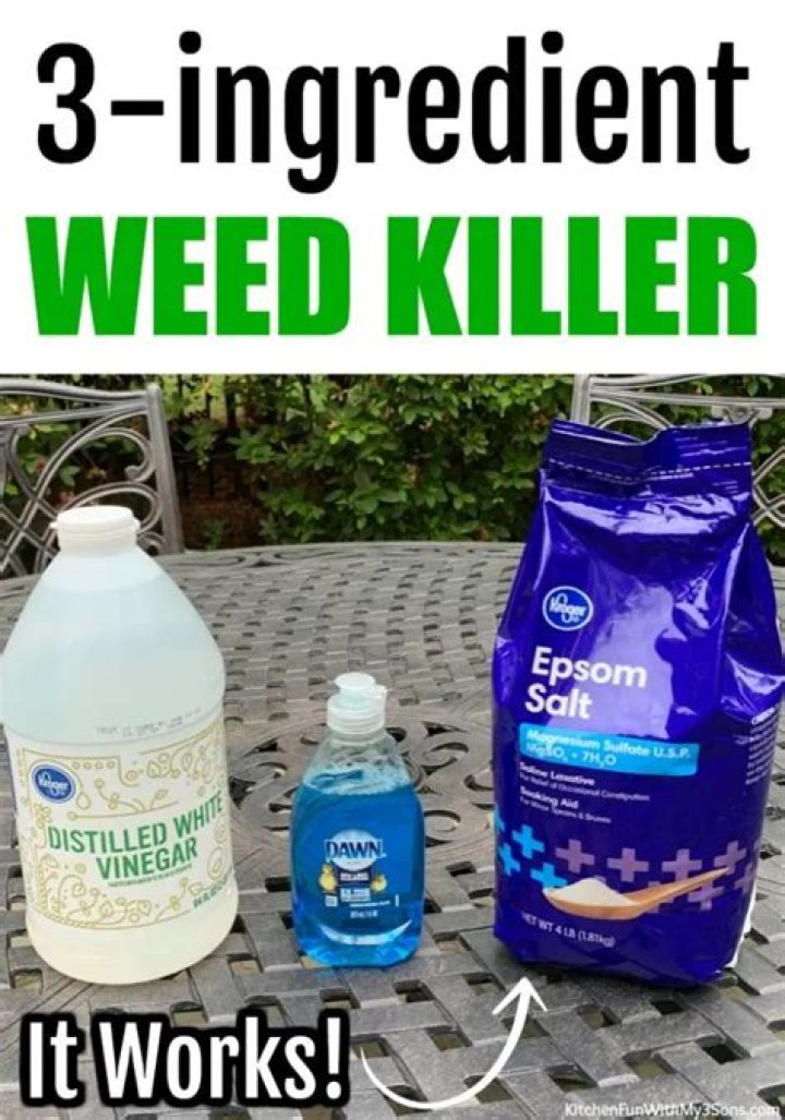 What kills weeds permanently home remedy?