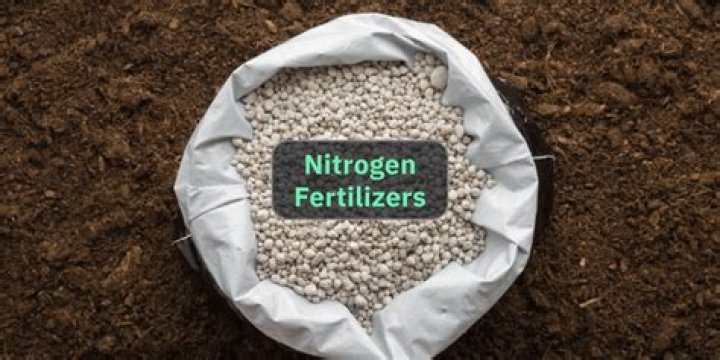 What lawn fertilizer is high in nitrogen?