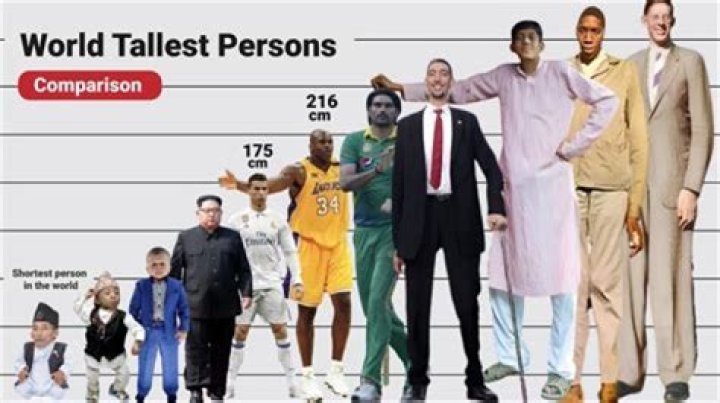 What race has the tallest average height?