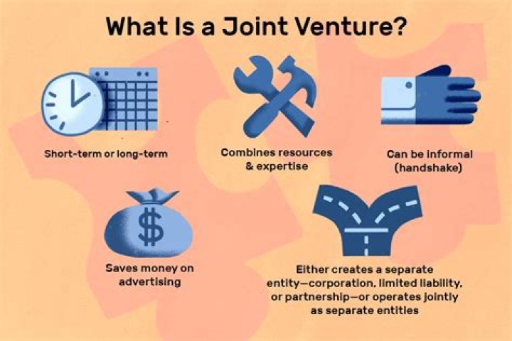 What type of business is joint venture suitable?