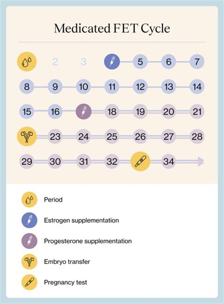 What vitamins should I take before embryo transfer?