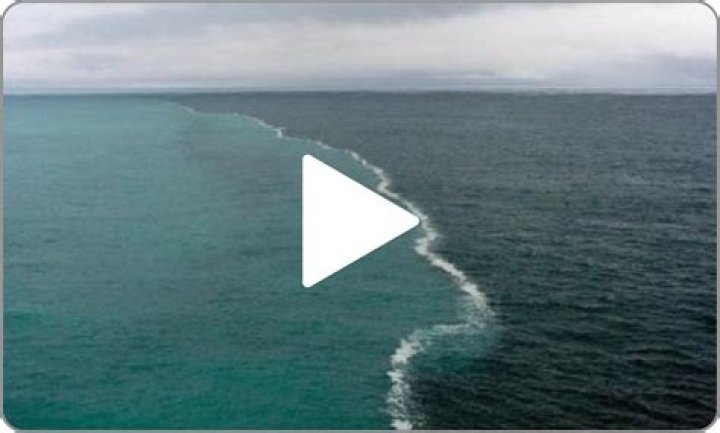 What will the ocean look like in 2030?