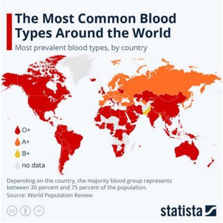 Where is B+ blood most common?