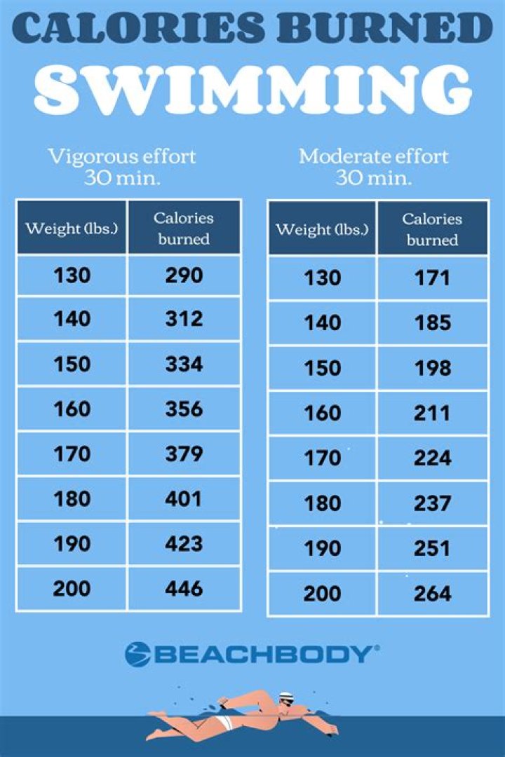 Which swimming stroke burns the most calories?