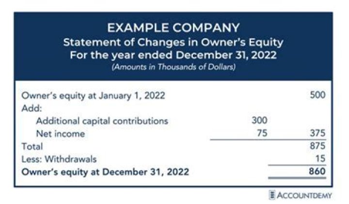 Who are the owners and members of a LLC?